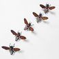 Small Bee Nail