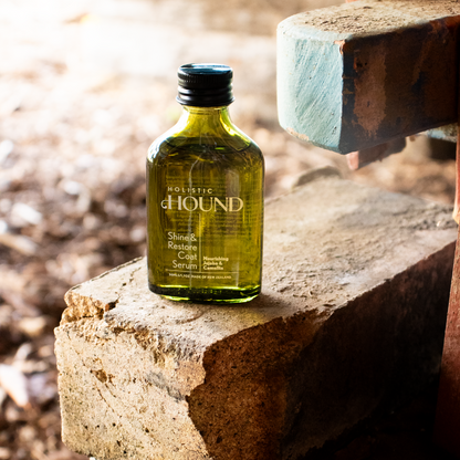 Shine & Restore Coat Serum