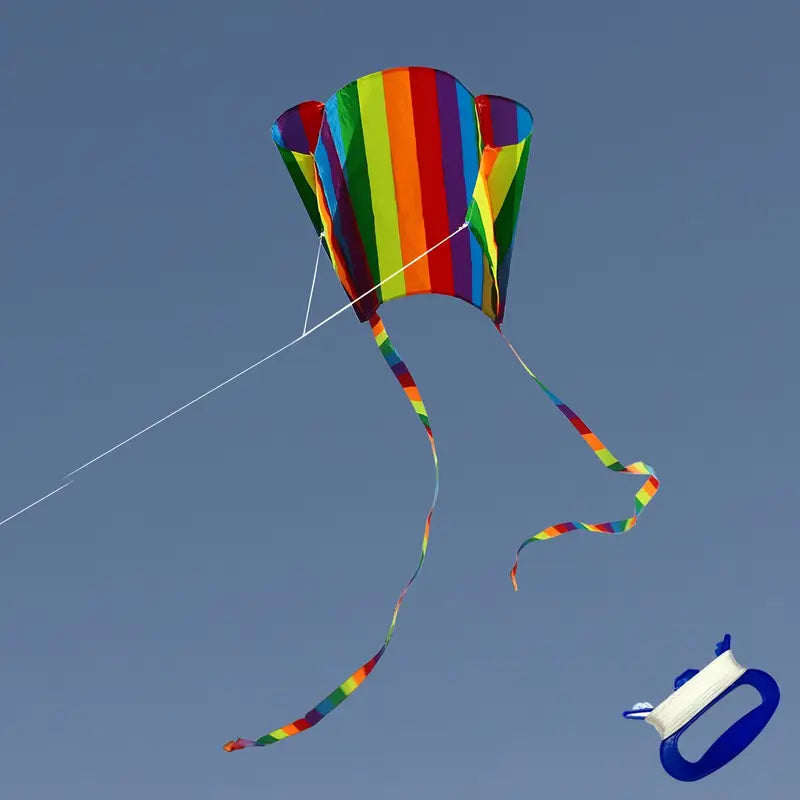 Small Colourful Kite