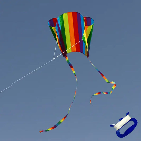 Small Colourful Kite