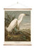 White Heron Wall Chart