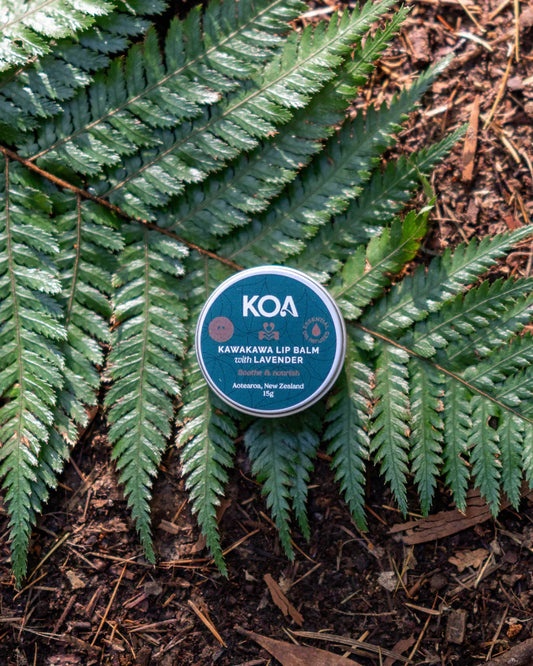 Kawakawa and Lavender Lip Balm