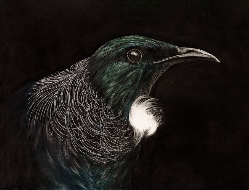 Tui 2024 - Limited Edition Print