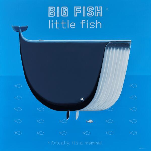 Big Fish Little Fish - Boxed Mini Print