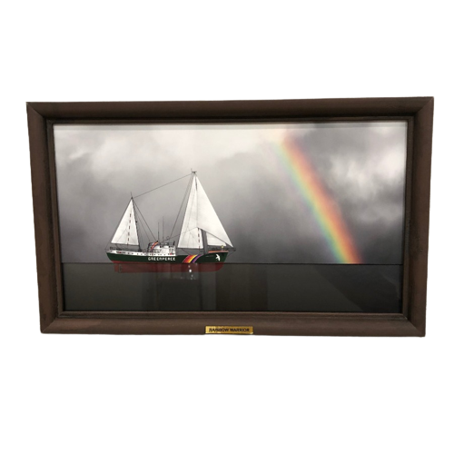 Rainbow Warrior Ship Diorama