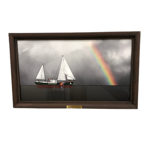 Rainbow Warrior Ship Diorama