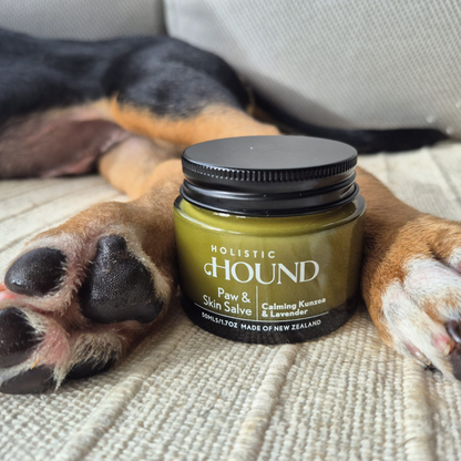 Paw & Skin Salve