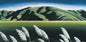 South Canterbury Toi Toi - Art Print