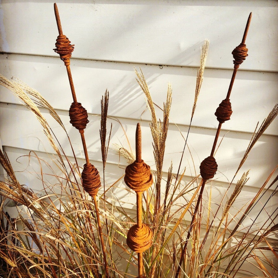 Rusty Seed Pods (kakano)