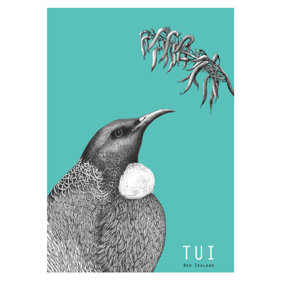Tui Limited edition print