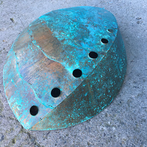 Copper Paua Shell