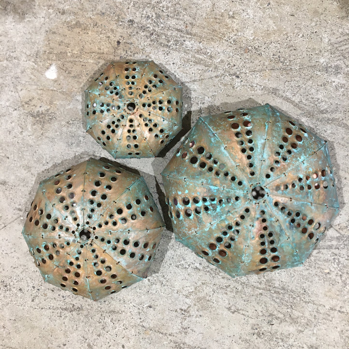 Copper Kina Shells