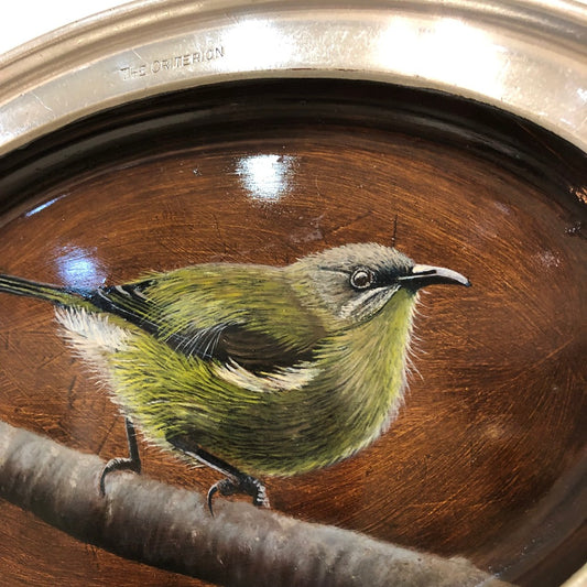 Korimako (Bellbird) 1 - Original Painting