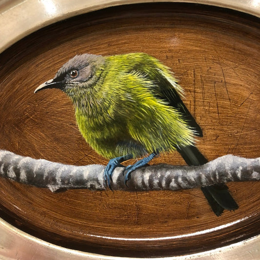 Korimako (Bellbird) 2 - Original Painting