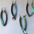 Paua Tusk Earrings