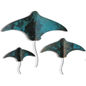 Copper Stingrays - Set of 3